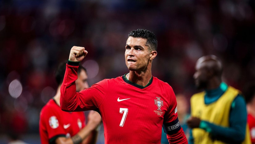 展示了他们 展示了他们