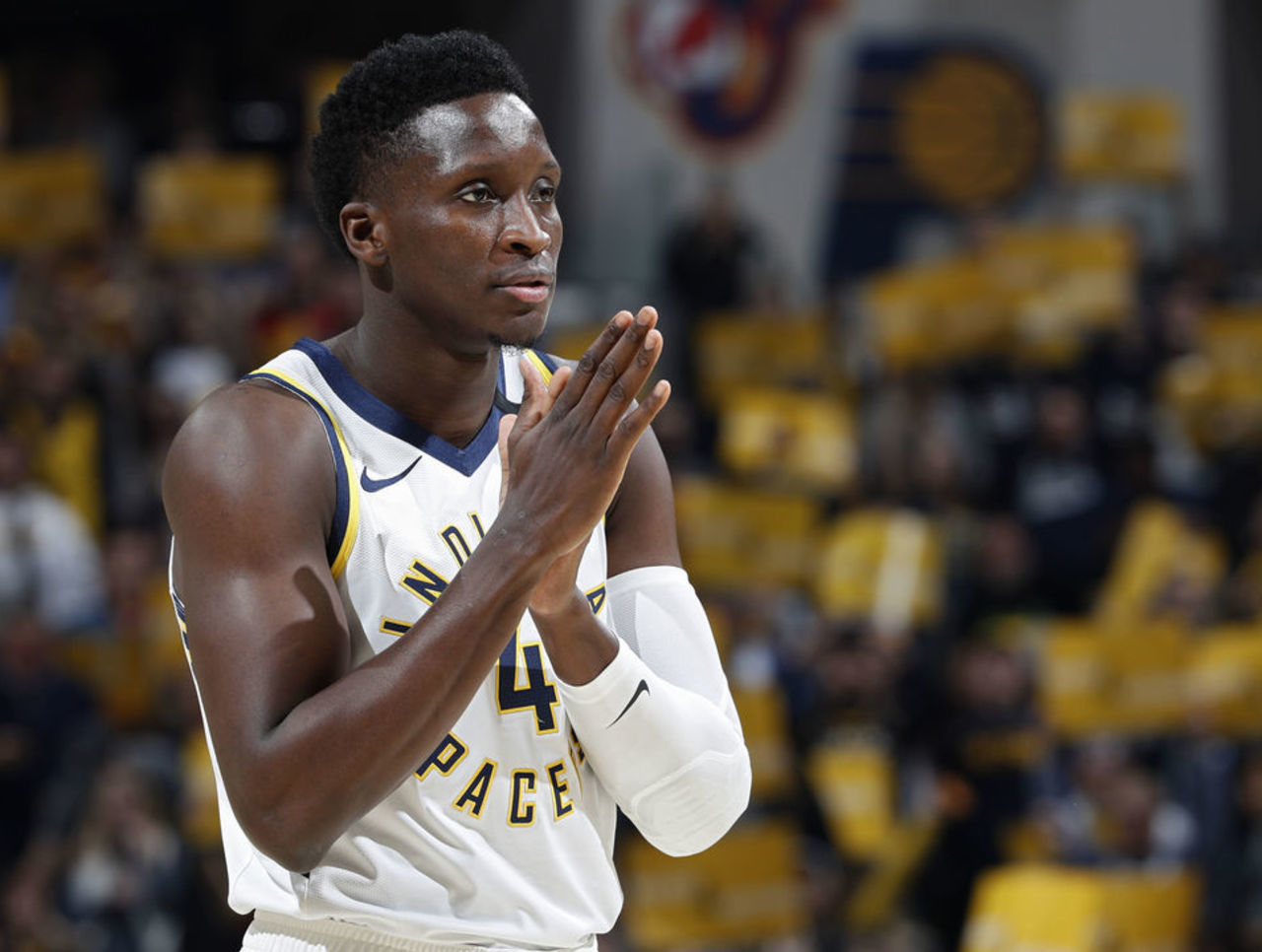 的现代综合 的现代综合